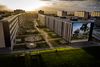 Bispehaven er den største afdeling under Østjysk Bolig, hvor den tidligere direktør, Allan Søstrøm, i oktober blev politianmeldt for en mistanke om underslæb. Foto: Casper Dalhoff