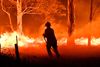 En brandmand i gang med bekæmpe en brand i New South Wales i december. Foto: Saeed Khan/AFP