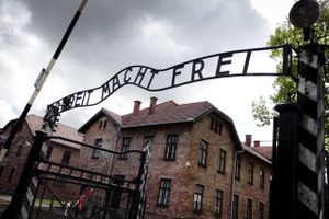 Markeringen af mindedagen for Holocaust og Auschwitz-lejrens befrielse må i år afholdes online.