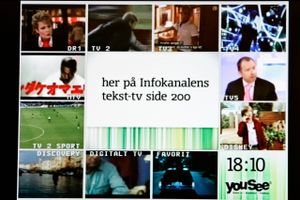 YouSee begynder at lukke for radiosignalet fra i morgen og frem til uge 10. Det ventes at berøre 300.000 af selskabets til 1,2 mio. kunder. 30.000 har bedt om en gratis stueantenne. Foto: Jens Dresling.