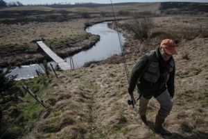 Jesper Sandfeld har fisket ved Råsted Lilleå i mere end 40 år. I gamle dage var den rig på fisken stalling, men nu er der næsten ingen tilbage. En ny undersøgelse viser, at der på en 35 km lang strækning kun blev fundet syv stallinger. Ifølge en biolog burde der være tusindvis.