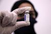 Hvem der end er skyld i forsinkelsen, er der tilsyneladende grund til at ærgre sig grundigt på EU's vegne. For den russiske vaccine har i forsøg vist sig ganske effektiv. Foto: Hazem Bader/AFP