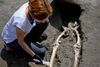 I år 79 beskrev digteren Plinius den Yngre vulkanudbruddet på afstand. Ifølge hans skriftlige vidnesbyrd havde indbyggerne i Pompeji og andre omkringliggende byer ikke en chance for at slippe væk. Arkivfoto: Ciro Fusco/AP