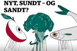 "Nyt, sundt - og sandt?" er Jyllands-Postens podcast om mad og sundhed. Med videnskaben i ryggen går værterne Karen Lyager og Jerk W. Langer myterne efter i sømmene.