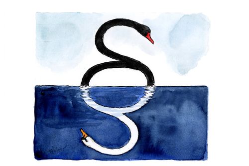 Dokumentaren "Den sorte svane" har tilføjet advokatstanden og jurister et hak i troværdigheden, mener jurastuderende Mikkel Vinther. Tegning: Rasmus Sand Høyer.