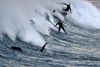 Surfere flokkes stadig til strandene i det østlige Sydney under byens nedlukning. I den vestlige del står gaderne tomme, fortæller rådmand. - Foto: Saeed Khan/Ritzau Scanpix