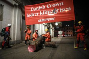Onsdag morgen havde Greenpeace sat en aktion i værk nede på Aarhus Havn ved DLG-fabrikken. Nogle timer senere blev dele af aktionen opgivet, da man opdagede, at fabrikken ikke producerer det, der blev protesteret mod.