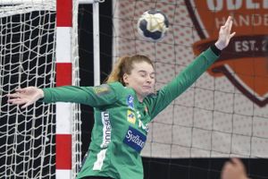 Odense Håndbold tabte 23-27 ude til stærke Ferencvaros fra Ungarn. Ved pausen var stillingen 12-12.