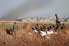 Kurdiske soldater samlet ved den østlige indkørsel til byen Tal Abyad i Raqqa-provinsen tæt på grænsen til Tyrkiet. De kurdiske tropper er de seneste dage – med luftstøtte fra den amerikansk- ledede koalition – rykket frem efter voldsomme kampe mod Islamisk Stat, hvilket har skabt bekymrede miner hos tyrkerne. Foto: Rodi Said/Reuters