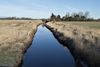Danmarks Naturfredningsforening lancerede i denne uge sammen med Landbrug & Fødevarer et udspil, der skal mindske udledningen af kvælstof. Arkivfoto: Henning Bagger/Ritzau Scanpix