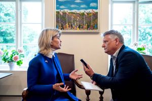 Carla Sands er USA's ambassadør i Danmark. Arkivfoto: Rene Schütze
  