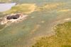 Krateret på Yamal-halvøen vurderes at være omkring 80 meter i diameter. Ingen ved, hvorfor det er opstået.