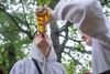 Ifølge Jane Greve, der er professor hos Vive, viser undersøgelsen, at man med en relativt simpel og billig metode kan påvirke alkoholkulturen på en uddannelse. Arkivfoto: Olivia Loftlund