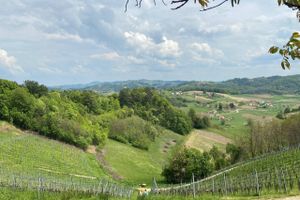 Mange har holdt badeferie i Dalmatien og på Istrien – eller på en af øerne i den kroatiske skærgård. Færre kender til de spændende områder i den nordlige og centrale del af landet, hvor en række af landets bedste vinproducenter holder til. 