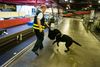 Europol er i spidsen for det meste internationale politiarbejde mod organiseret, grænseoverskridende kriminalitet.