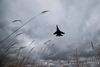 Et russisk kampfly af typen SU-27 fotograferet ved en indflyvningen til en base uden for Moskva.