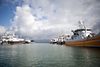 Danske fiskere henter 40 pct. af deres fangster i britiske farvande. Om fem måneder kan det være slut. Foto: Gorm Olesen