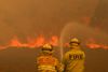 Brandmænd kæmper at forhindre en brand i at hoppe over en vej i New South Wales. Foto: Stringer/Ritzau Scanpix