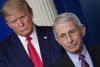 Donald Trump og Anthony Fauci. Arkivfoto: MANDEL NGAN / AFP)