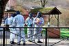 Efterforskere i beskyttende dragter på gerningsstedet i en park i Salisbury forleden. Foto: Ben Stansall/AP