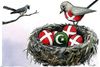 Det er ikke overraskende, at de nye borgere søger sammen og danner fællesskaber med beslægtede sprog, religion, accepteret levevis, moral og værn mod stærke påvirkninger udefra.