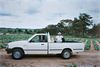 Ulla Glynn-Bucknell og hendes nu afdøde mand Mike tilser markerne på farmen i Zimbabwe. Arkivfoto: Michael Hansen