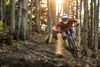 Mountainbiker rides in autumn forest