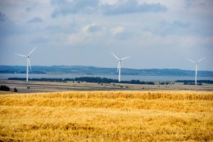 Det er tid til at slække gevaldigt på de bureaukratiske lænker og lade de teknologiske løsninger, som hjælper med klimakrisen, få mere frit løb, mener Lasse Raun Møller. Arkivfoto: René Schütze