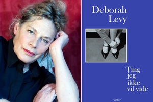 Anmeldelse: Deborah Levy bliver ramt af en dyb fortvivlelse, som tvinger hende til at mindes sin barndom og ungdom i henholdsvis Sydafrika og England.