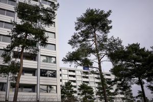 Tvangsflytninger skal hjælpe boligområde i Helsingør af med ghettostempel. Men flere familier protesterer.