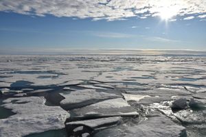 Isen på havet omkring Nordpolen bliver tyndere og mindre. Og netop havisen i Arktis kan sende sibirsk kulde mod Danmark de kommende måneder, mener eksperter. Arkivfoto: Ulf Mauder/AP