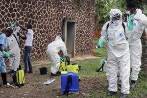 Fem lægemidler mod Ebola-virusset testes på patienter i DRCongo. Et af dem har skabt håb om en kur.