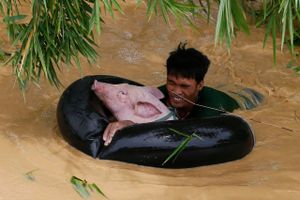 Tyfonen Koppu har dræbt mindst ni mennesker i den nordlige del af Filippinerne, hvor træer, el-ledninger og mure er væltet omkuld af uvejret og oversvømmelser. 