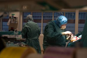De 182 kræftpatienter, som i fjor ventede »rystende« længe på operation på AUH, optræder tilsyneladende ikke i Region Midtjyllands indberetningstal til Sundhedsstyrelsen. 
