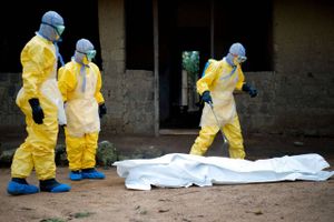 Ebola, der tidligere har kostet over 11.300 mennesker livet, er overvundet, fortæller professor. 