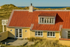 Sommerhuse tiltrækker masser af udenlandske turister.