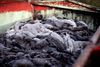 15-17 mio. mink skal i de kommende dage aflives for at stoppe, at en ny type coronavirus, som ikke kan slås ned af de kommende vacciner, spreder sig yderligere. Foto: Marius Renner/Ritzau Scanpix