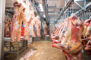 Chefen for Fødevarestyrelsens rejsehold går i rette med Kurt Skares beskrivelse af, hvad der skete, da otte kontrollanter kom på uanmeldt besøg hos Skare Meat Packers.