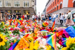 Terroranslaget i Oslo viser, at der er brug for demokratiernes selvforsvar, brug for vilje til at værne fundamentet under vores åbne samfund og brug for en håndfast indsats over for radikale islamister og andre ekstremister.
