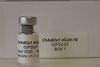 En danskudviklet vaccine mod covid-19 skal efer planen være klar til markedet inden udgangen af 2021. Foto: