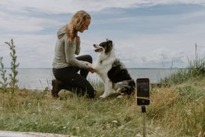Bag hundeprofiler på Instagram gemmer der sig netværk af anonyme ejere, der finder et fællesskab gennem kærlighed til deres dyr – på trods af at det er hundens navne og ansigt, der optræder på profilen. 