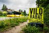 Projekt Vild Med Vilje på et lille stykke mellem en lang græsplæne i rabatten på Holmegårdsdvej i Kokkedal. Foto: Stine Bidstrup