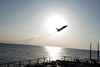Da et russisk kampfly i 2026 fløj over amerikanske USS Donald Cook i Østersøen, blev oopmærksomheden mod det strategisk vigtige hav. Arkivfoto: Reuters