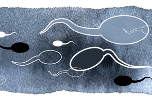 En 55-årig mand er torsdag blevet frifundet i Vestre Landsret. Det var ikke ulovligt at han donerede sin sæd til mindste fem kvinder, mener retten, der omstøder byrettens tidligere dom. 