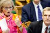 Med Pia Kjærsgaard som værdiordfører får den 43-årige Thulesen Dahl som ny partiformand tid til at udvikle en bredere politisk profil.