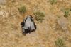 A dead elephant is seen in this undated handout image in Okavango Delta, Botswana May-June, 2020. PHOTOGRAPHS OBTAINED BY REUTERS/Handout via REUTERS ATTENTION EDITORS - THIS IMAGE HAS BEEN SUPPLIED BY A THIRD PARTY.