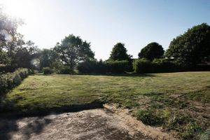 Byggegrunden på Ravnsbjerg Mark, som Herning Kommune solgte for 300.000 kr. Få hundrede meter derfra ligger et kommunalt skovareal, som kommunen ikke længere kan bestemme over. Foto: Casper Holmenlund Christensen