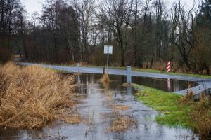 Onsdagens regnvejr satte dansk vejrrekord, og fredag byder på endnu et landsdækkende regnvejr og en kraftig middelvind, som DMI's meteorologer følger tæt af hensyn til fare for oversvømmelser. 