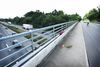 Det gik grueligt galt for en tysk familie, der i august 2016 blev ramt af en betonflise på motorvejen ved Fyn. En kvinde blev dræbt og en mand blev invalid for livet. Sagen er endnu uopklaret. Her er der lagt blomster på broen, hvorfra stenen blev kastet. Arkivfoto: Sonny Munk Carlsen/Ritzau Scanpix