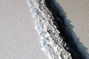 Et af de største isbjerge nogensinde brækkede onsdag af Antarktis. Det kan få havet i verdenshavene til at stige.